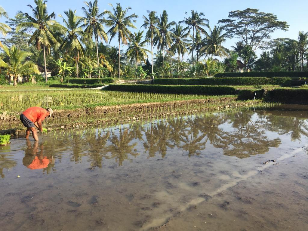 The Suris Ubud Extérieur photo