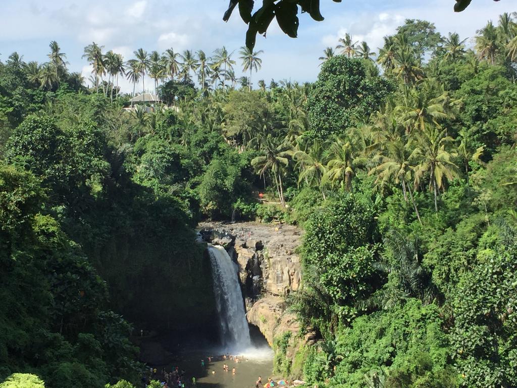 The Suris Ubud Extérieur photo