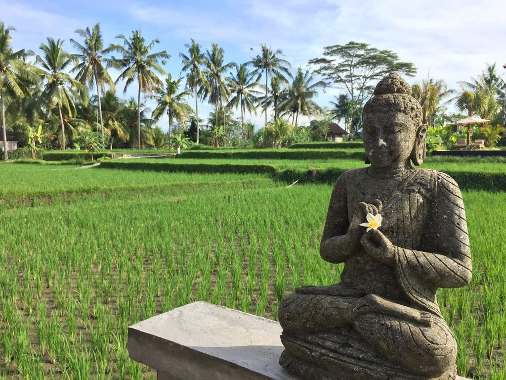 The Suris Ubud Extérieur photo